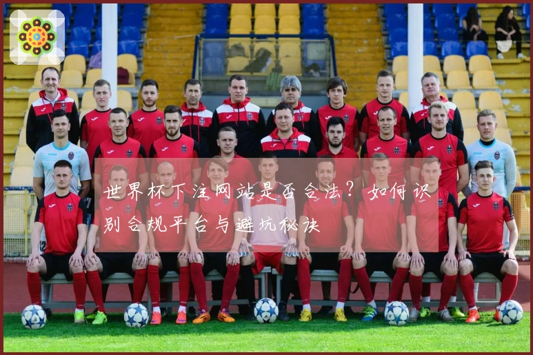 世界杯下注网站是否合法？如何识别合规平台与避坑秘诀