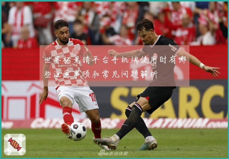 世界杯竞猜平台手机端使用时有哪些注意事项和常见问题解析