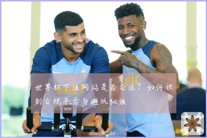 世界杯下注网站是否合法？如何识别合规平台与避坑秘诀