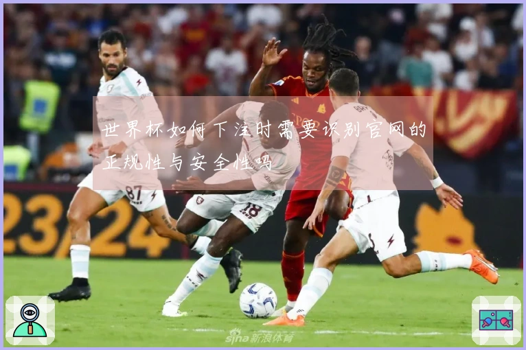 世界杯如何下注时需要识别官网的正规性与安全性吗