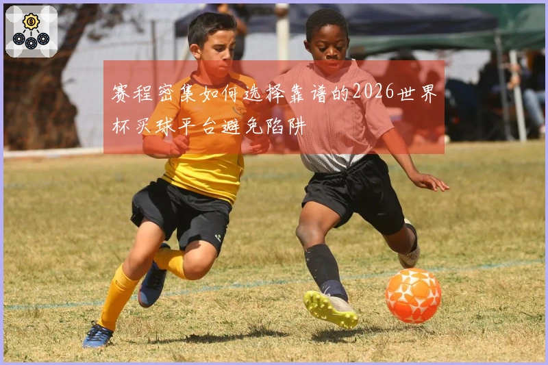 赛程密集如何选择靠谱的2026世界杯买球平台避免陷阱