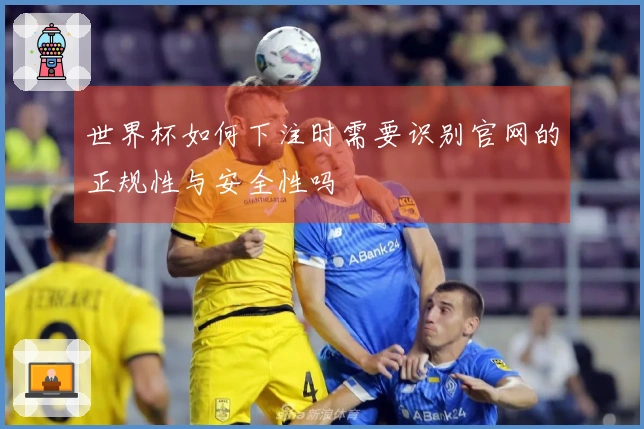 世界杯如何下注时需要识别官网的正规性与安全性吗